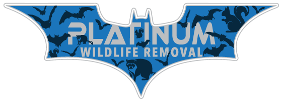 Wildlife Removal Hardin County